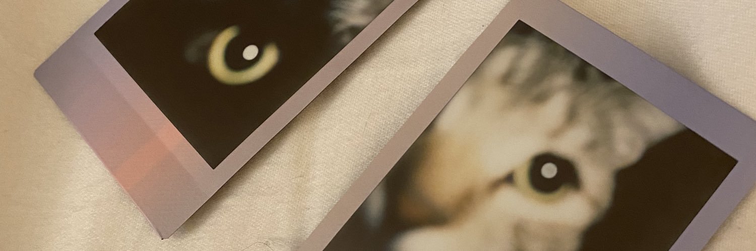 nocturnalgabs's profile banner image