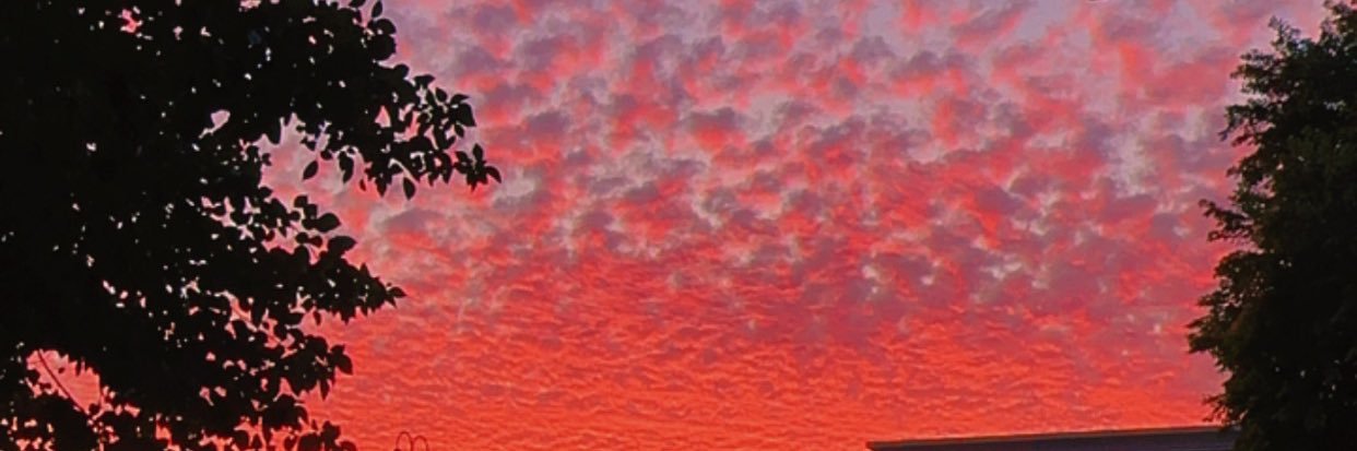 tech_chick0001's profile banner image