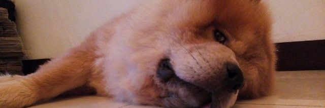 frdnnds's profile banner image