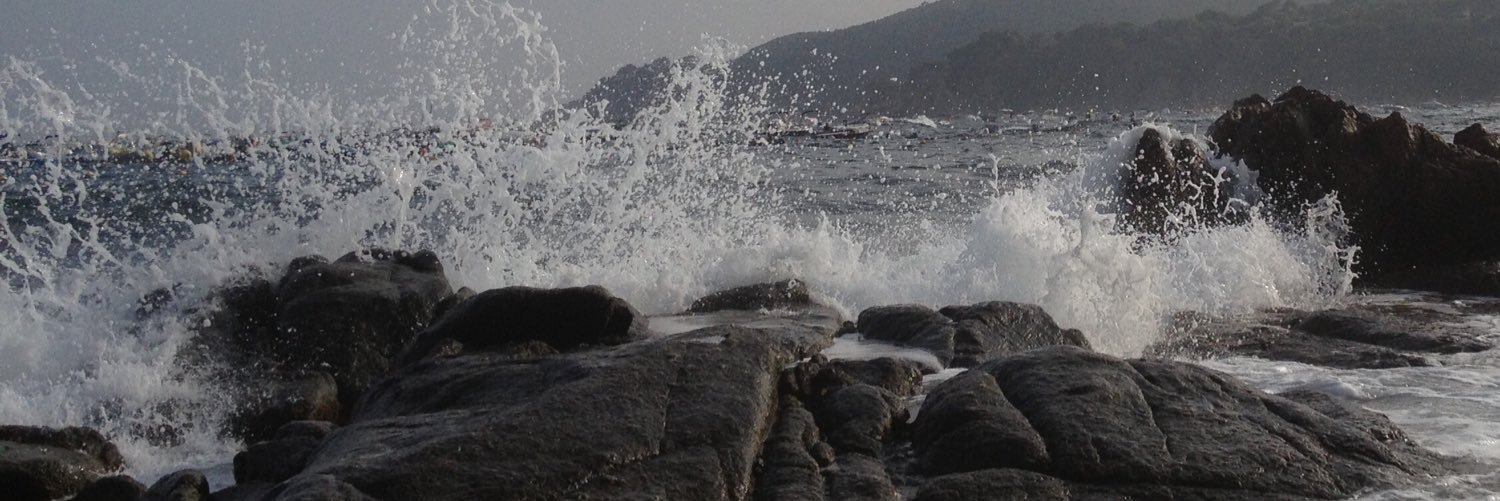 carmecoll's profile banner image