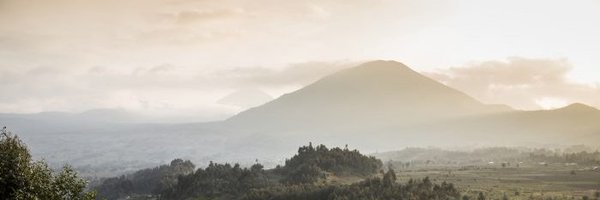 ivanmurenzi Profile Banner