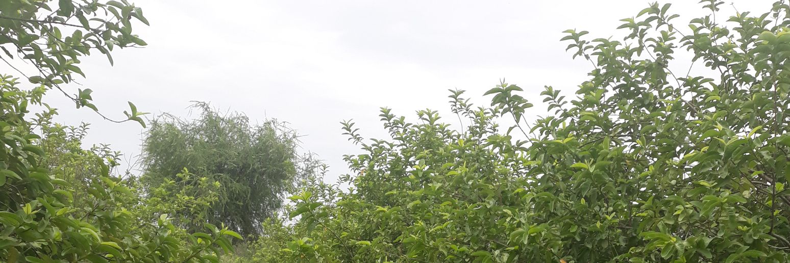 AlsafiYousof's profile banner image