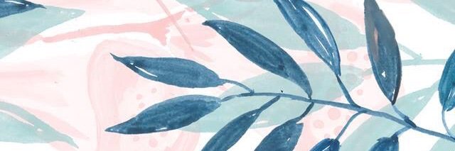 AriaWindi_'s profile banner image