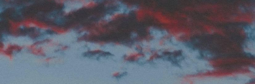alecvicedo's profile banner image