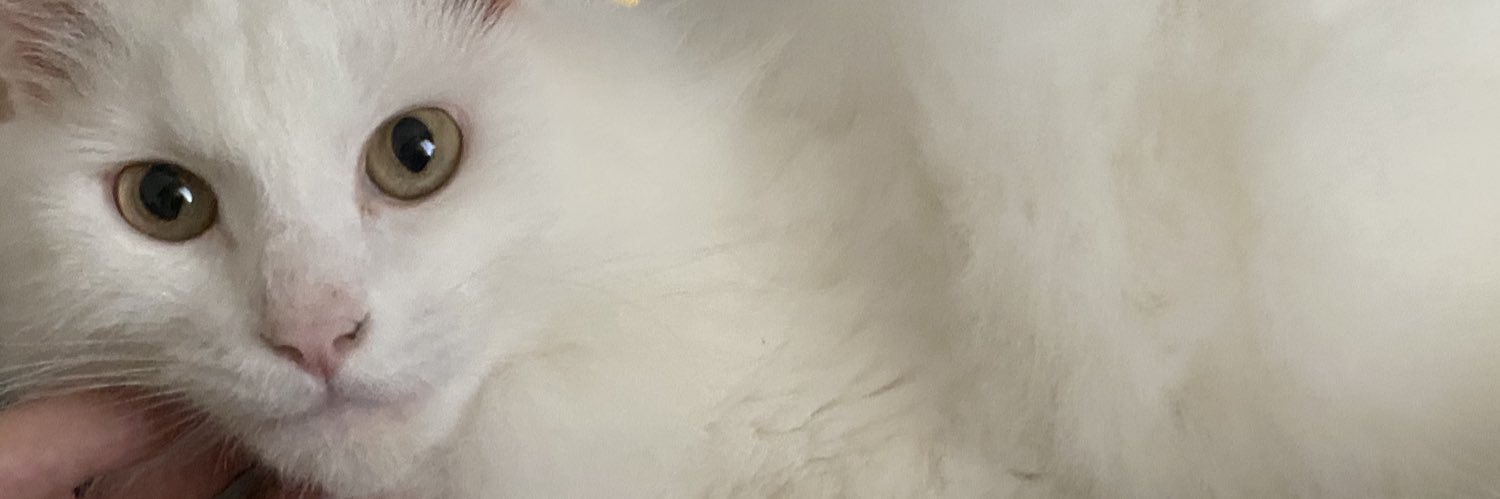 桜✿ banner