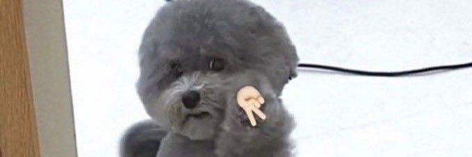 รนซซ 🌧️ banner