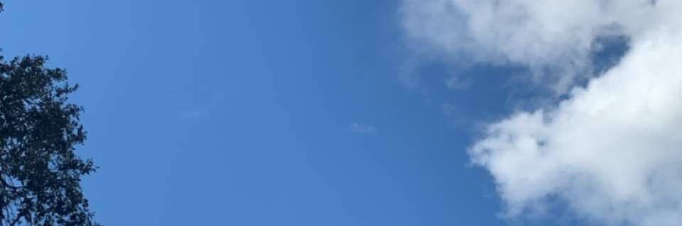 mariquotes7's profile banner image