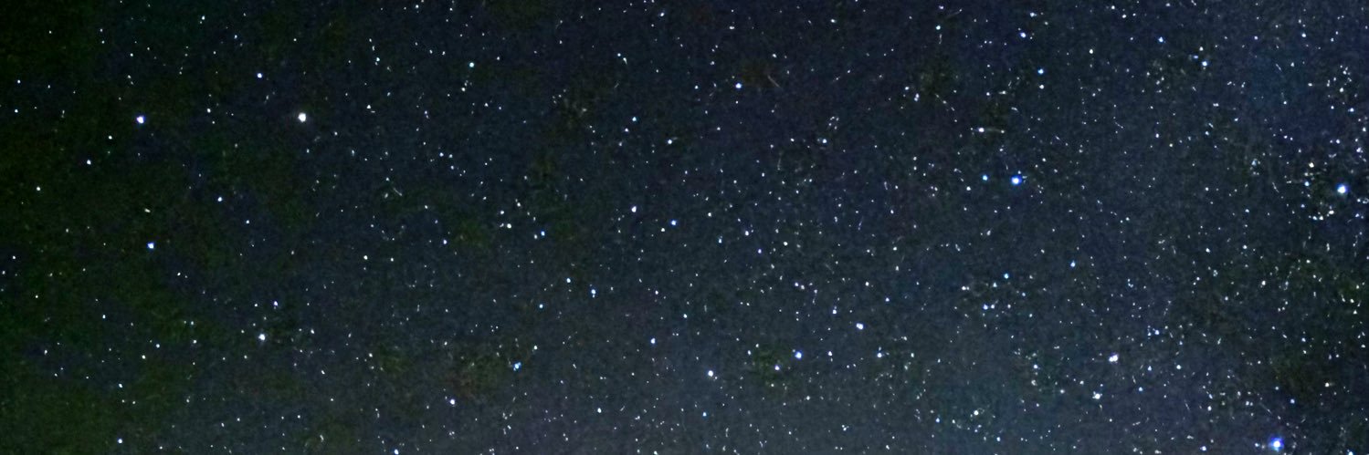 にわかな僕:( banner