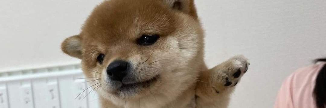 nnsamzz's profile banner image