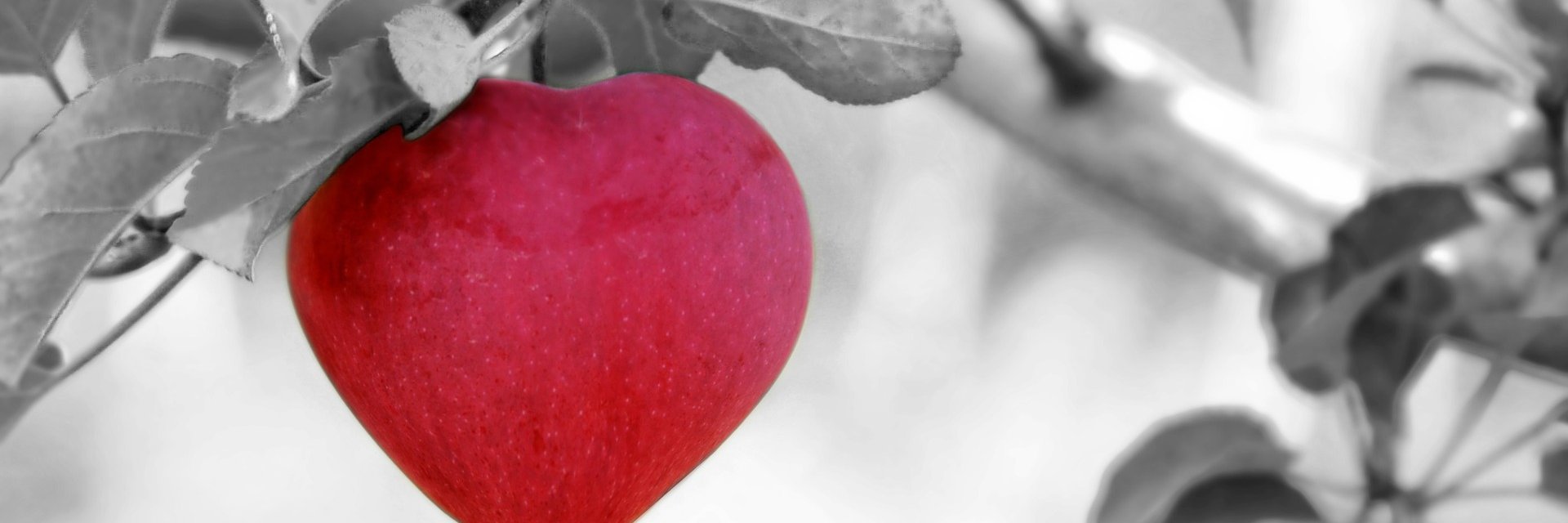 Ale_sandra's profile banner image