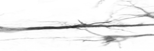 Ronald Sladky banner