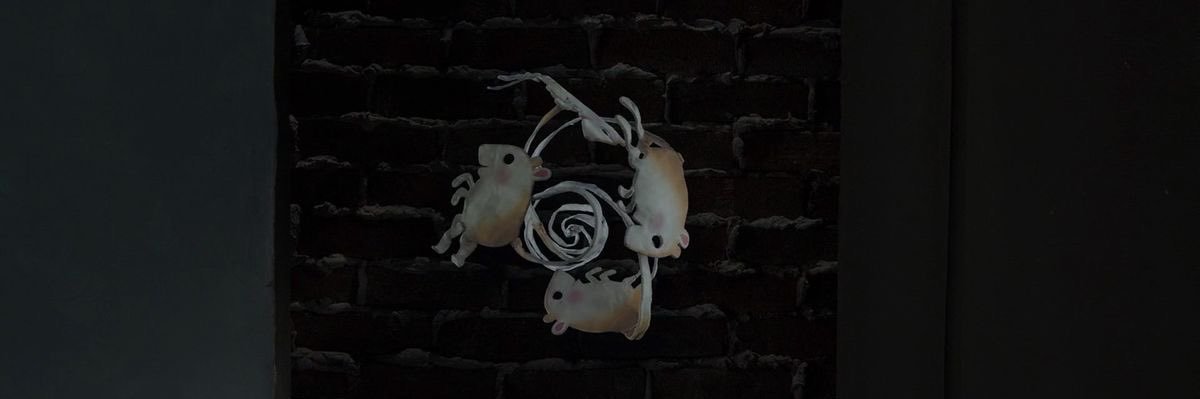 irm_i4's profile banner image