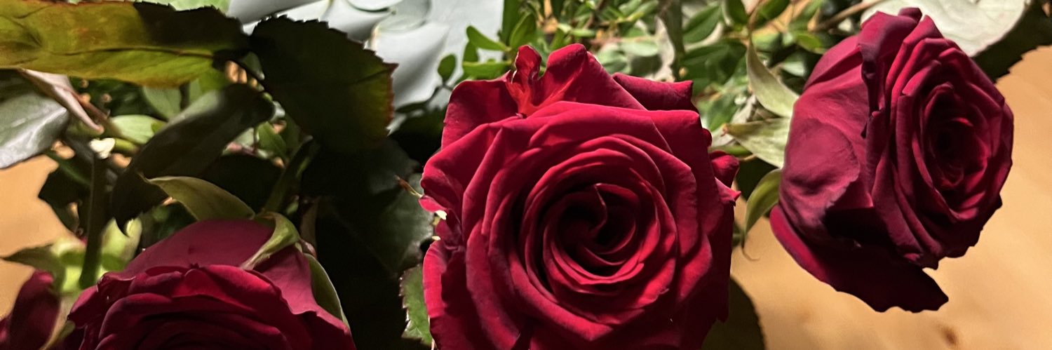 Marjolijn van Dijk banner