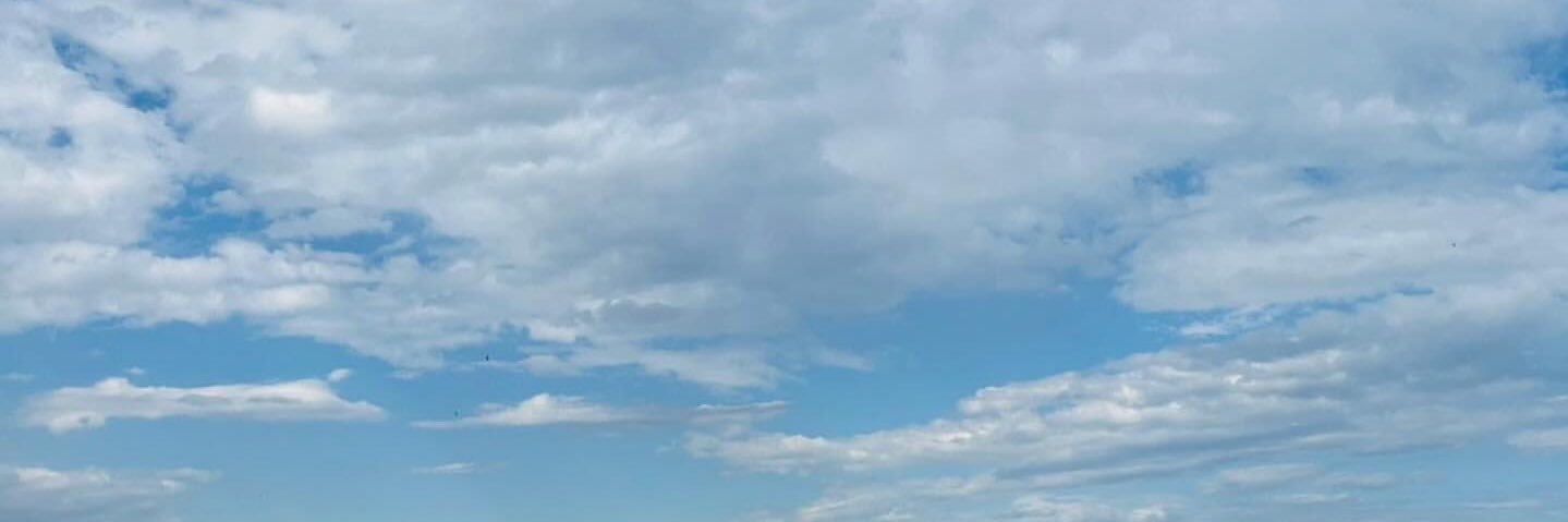 Yお取引専用 banner