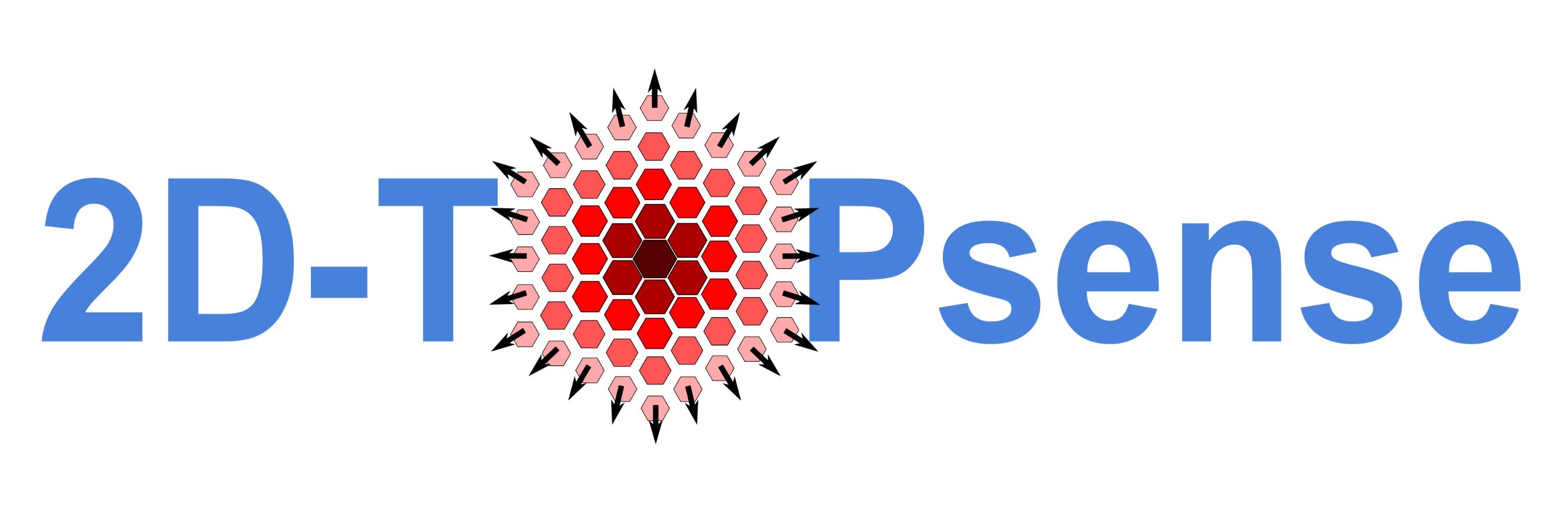 2D-TOPSENSE banner