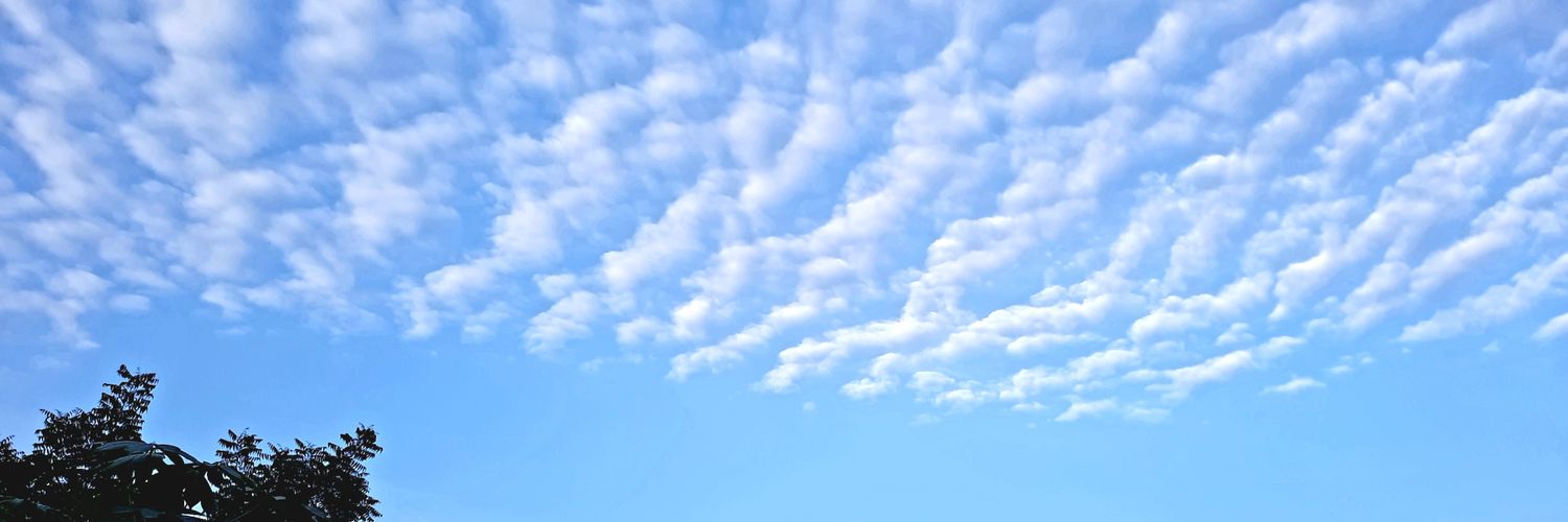 odiarukky's profile banner image