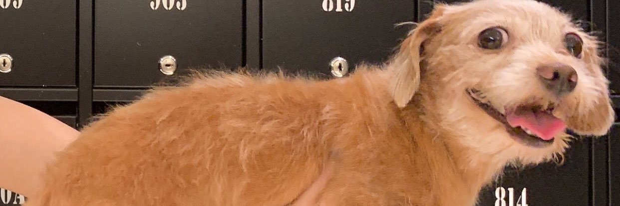 ladysueee's profile banner image