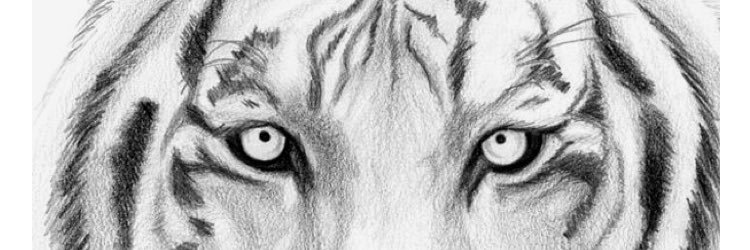 PatrickSycem's profile banner image