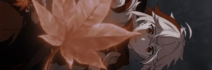 Lifei banner