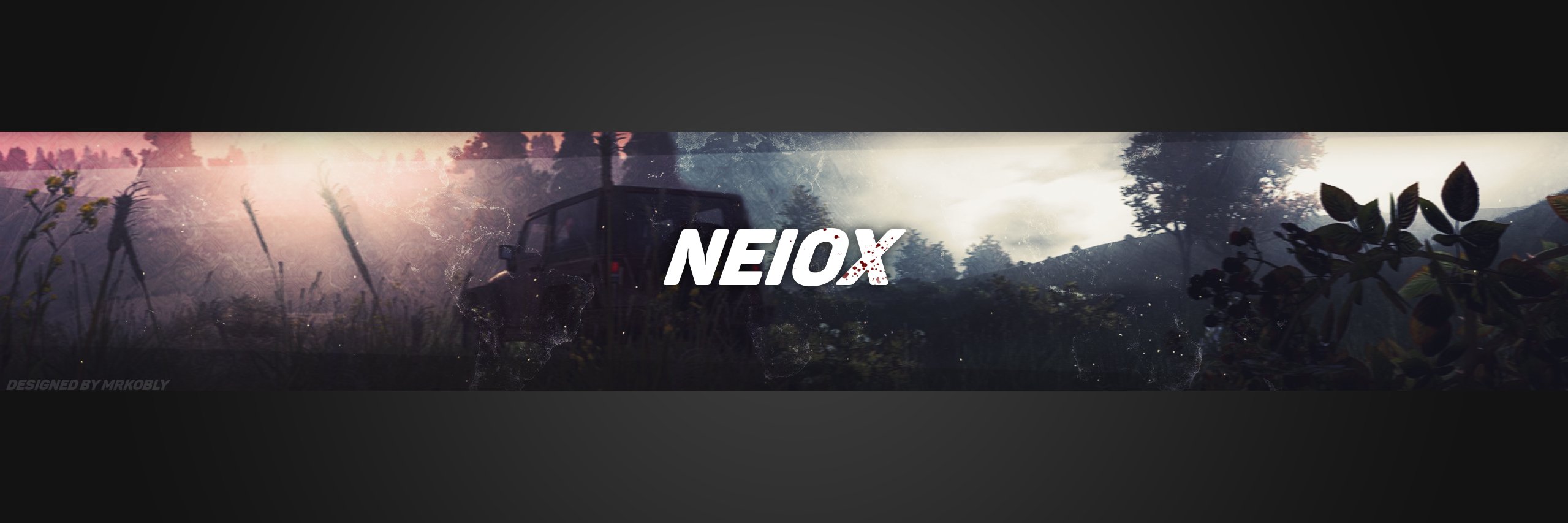 NeioxGaming's profile banner image
