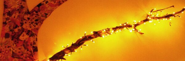 aislingogorman Profile Banner