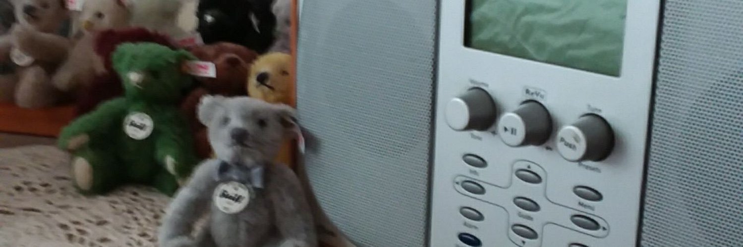 Major Archie Tiny Bear 🇺🇦 banner