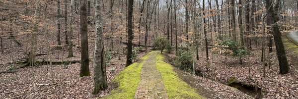 ledgerstatus Profile Banner