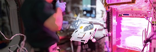 halfbeet Profile Banner