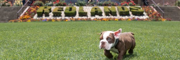 URMascot Profile Banner