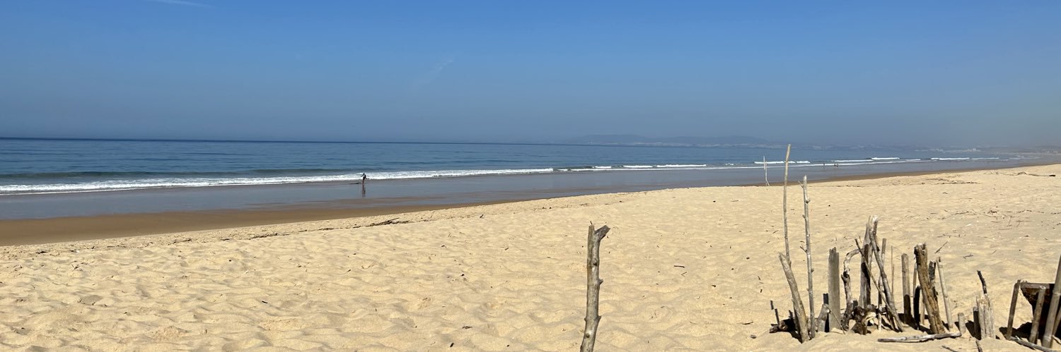 CarlosRodrigues banner