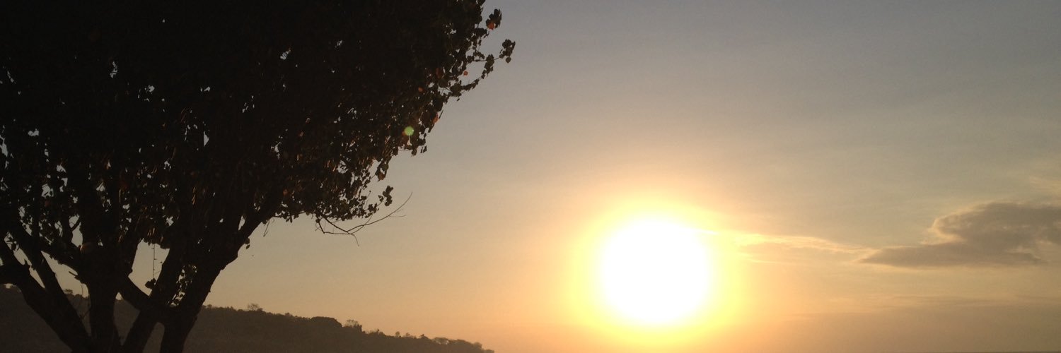 pigonroof's profile banner image