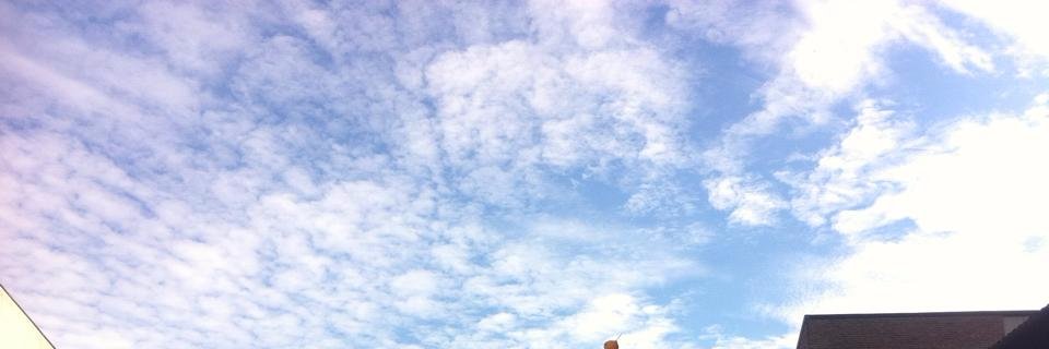 Sachiko Ishihara banner