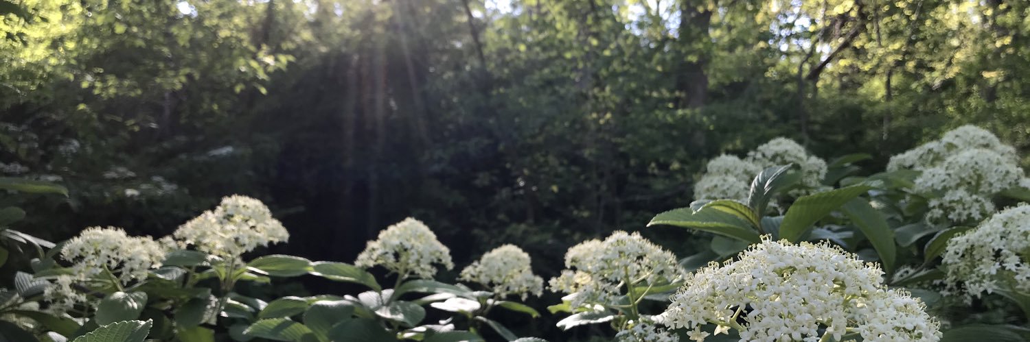 hlhdrew's profile banner image