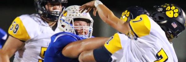 pthonsgaard Profile Banner