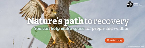 avonwt Profile Banner