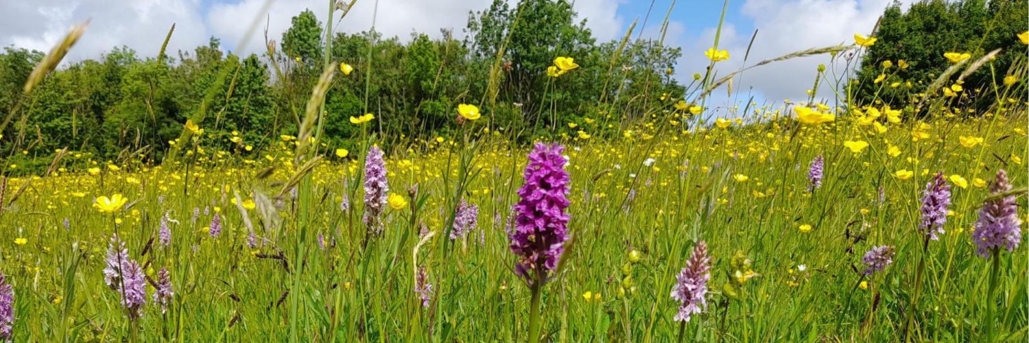 Avon Wildlife Trust banner