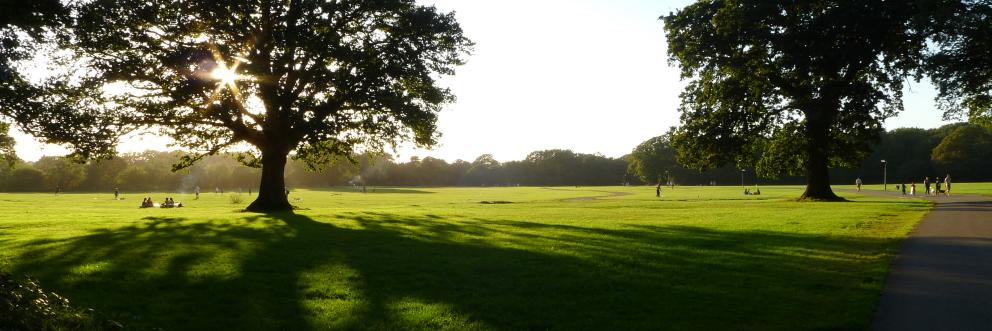 Open Spaces Society banner