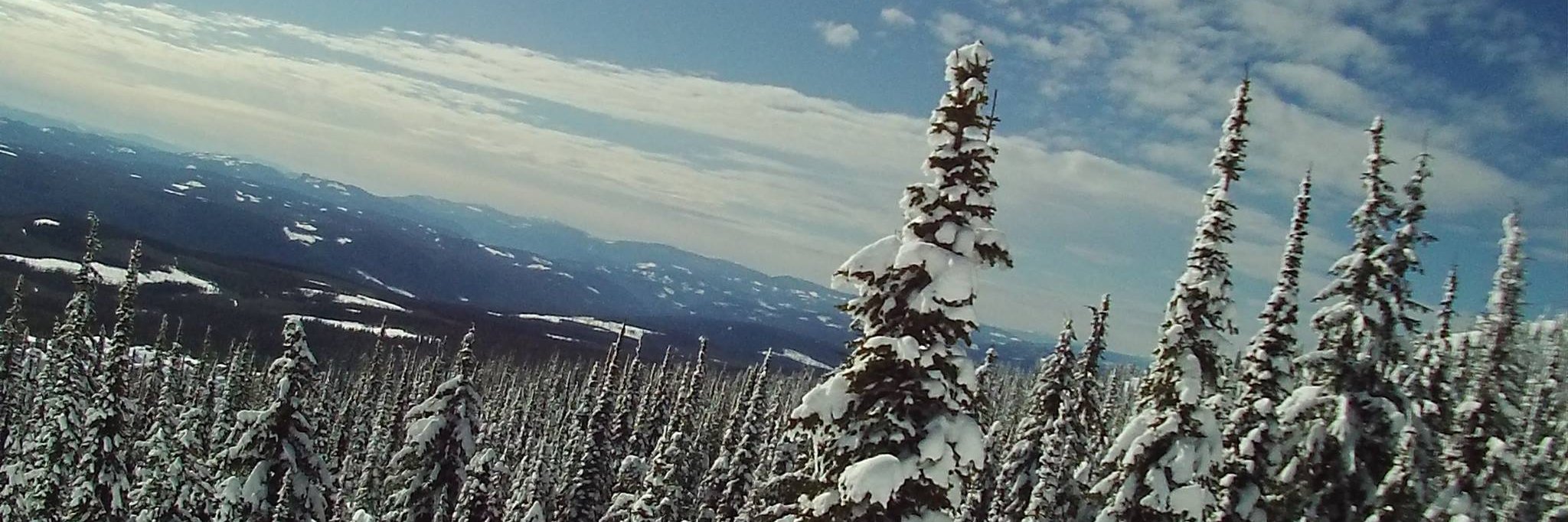 craigm's profile banner image