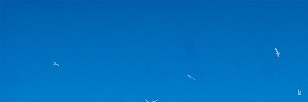 mirroredseaaa Profile Banner