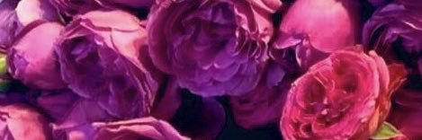 f0f0_13's profile banner image