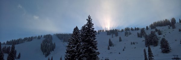 WebSolve Profile Banner