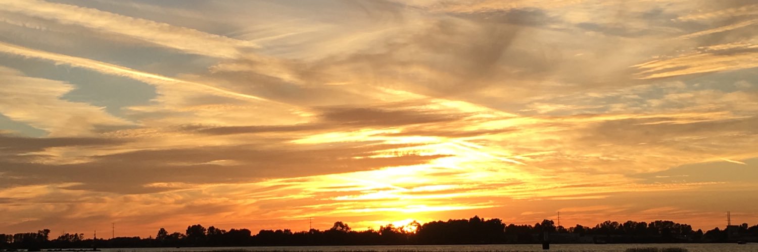 Leeann Waddington banner