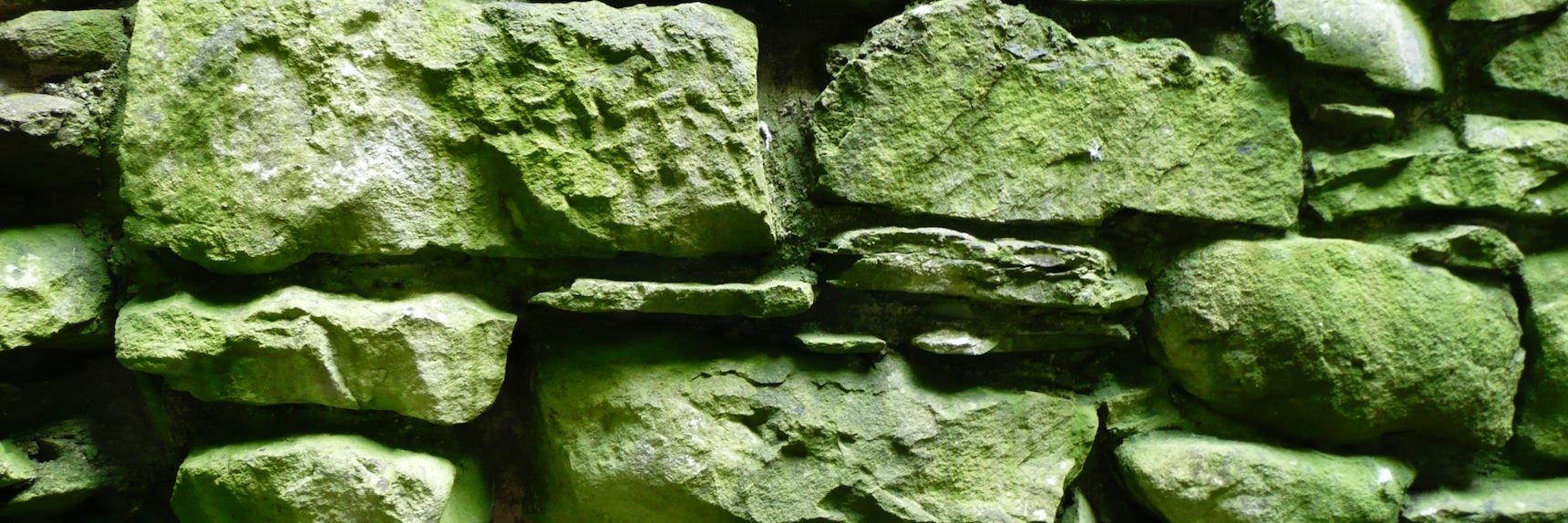 Felipe Meneguzzi banner