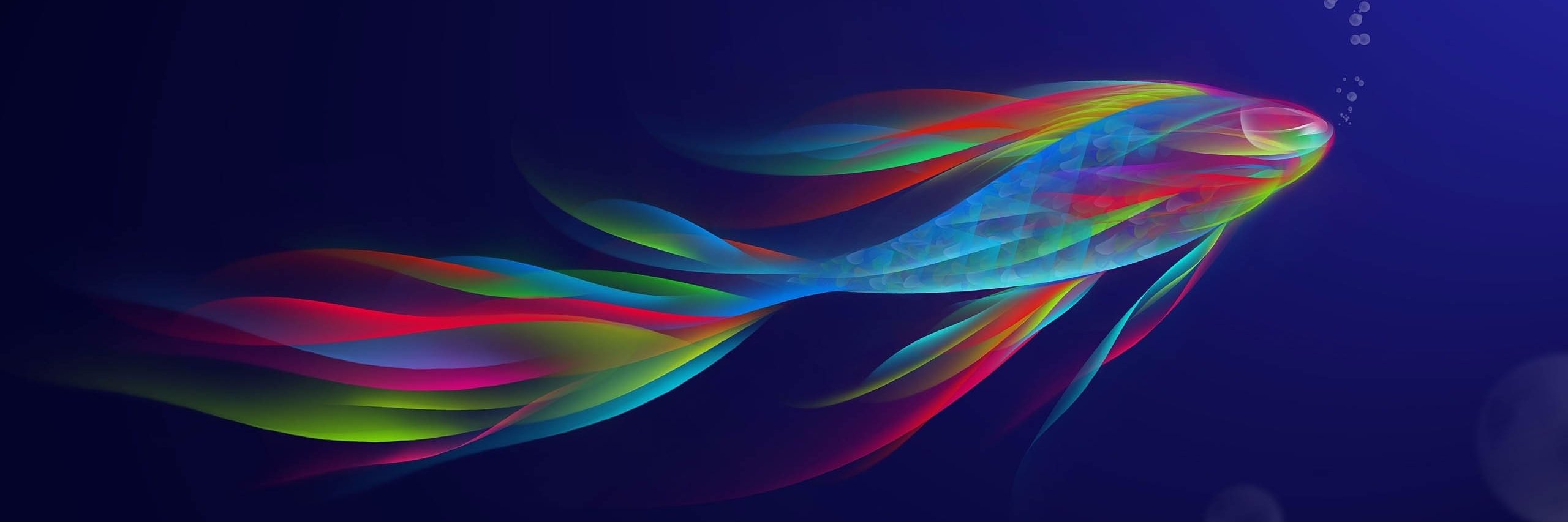 kimbeta65's profile banner image