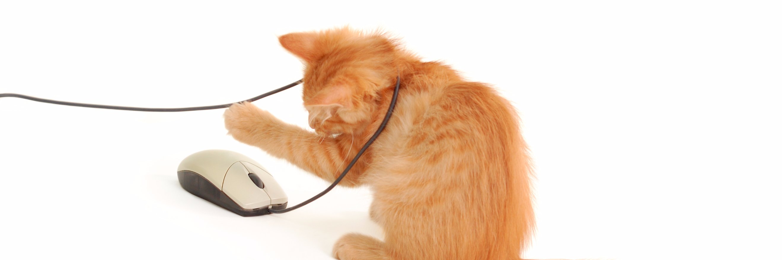 telecom_cat's profile banner image