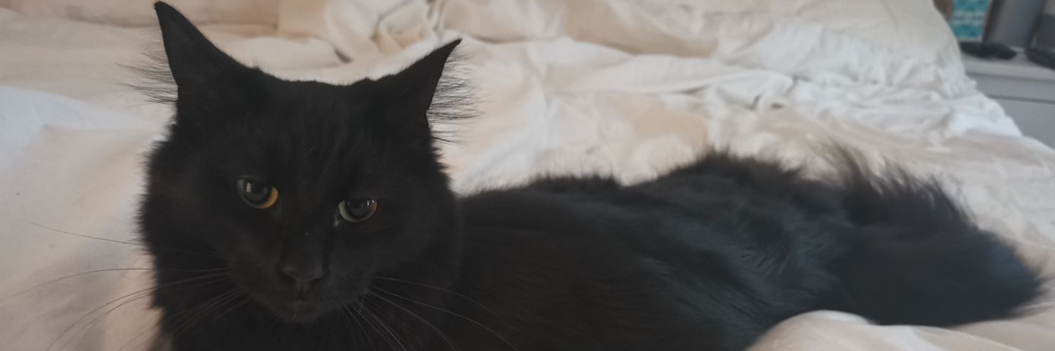RupaulCat's profile banner image