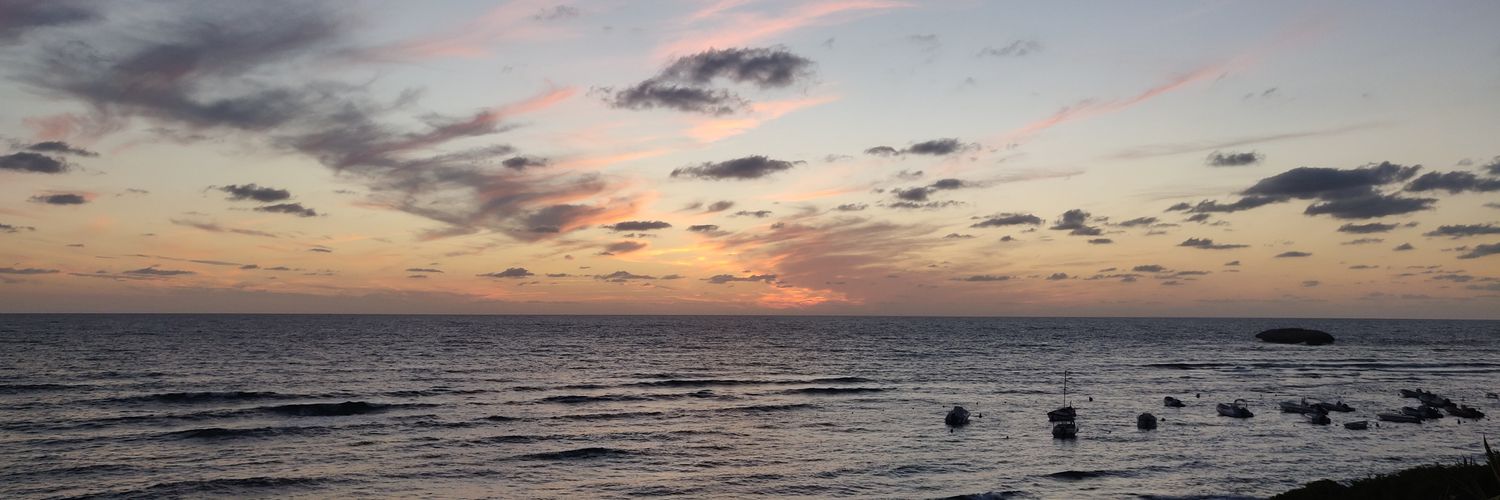 elfosardo's profile banner image