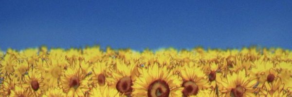 bitsplaining Profile Banner