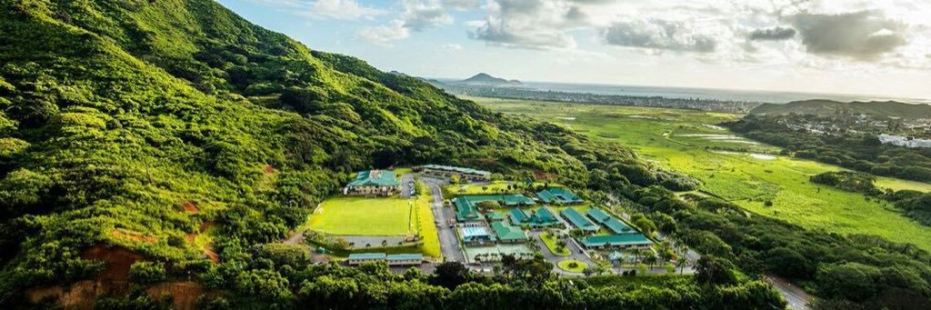 BusyBeesinthe808 banner