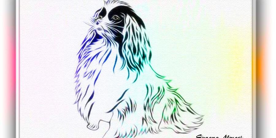 Kilemar's profile banner image